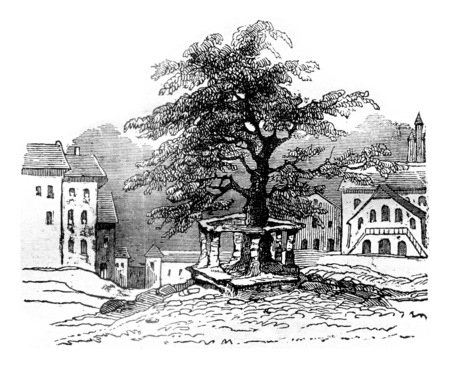 The Linden Freiburg, vintage engraved illustration. Magasin Pittoresque 1841.の写真素材