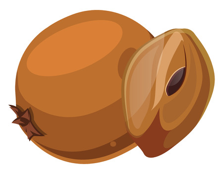 Orange chico cut in half  cartoon fruit vector illustration on white background.のイラスト素材