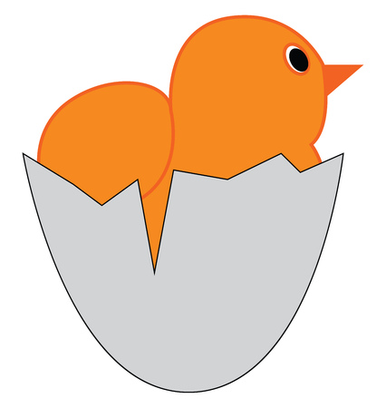 Yellow chick in an egg shell vector illustration on white background.のイラスト素材