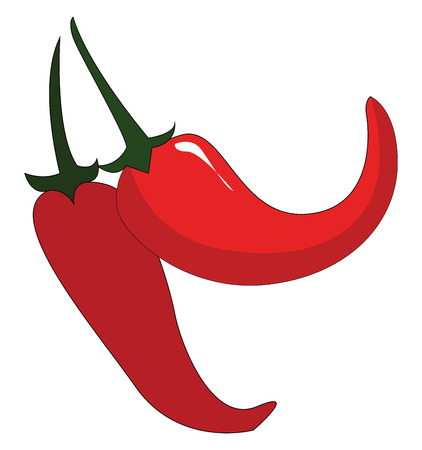 Two red chilis with green petiols vector illustration on white background.のイラスト素材