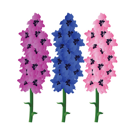 Vector illustration of violet blue and pink delphinium  flowers with green leafs on white background.のイラスト素材
