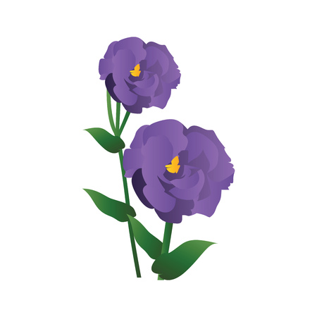 Vector illustration of purple lisianthus flowers with green leafs  on white background.のイラスト素材