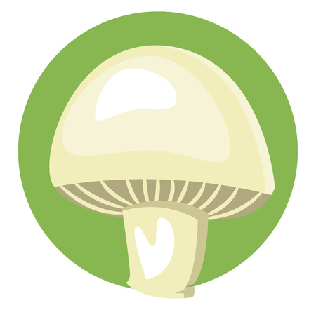 A White Mushroom in green background vector color drawing or illustration.