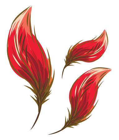 Three red beautiful bright feather looking like flower petals vector color drawing or illustrationのイラスト素材