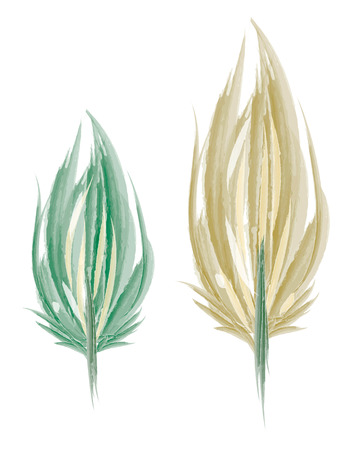 Painting of two feather in shape of leaf vector color drawing or illustrationのイラスト素材