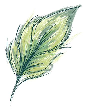 A beautiful bird feather with green threads vector color drawing or illustrationのイラスト素材