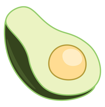 Green ripped half cut healthy avocado super food vector color drawing or illustrationのイラスト素材