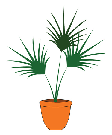 Green palm tree in orange flowerpot vector illustration on white backgroundのイラスト素材