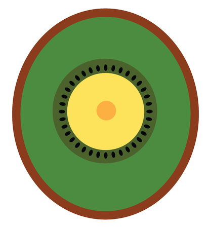 An image of a cut piece of a Kiwi vector color drawing or illustrationのイラスト素材