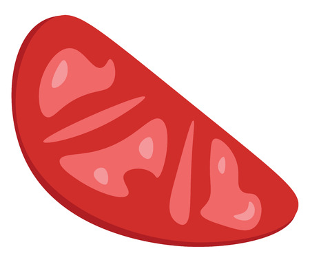 An image of a sliced tomato vector color drawing or illustrationのイラスト素材