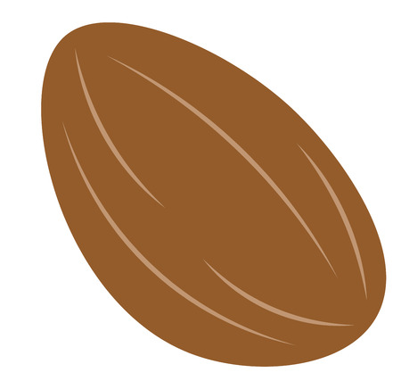 An oval shaped brown color almond vector color drawing or illustrationのイラスト素材