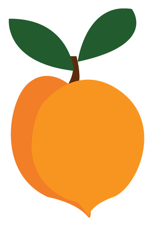 An image of a pulpy yellow mango with green leaves vector color drawing or illustrationのイラスト素材