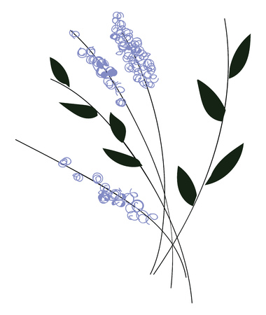 Simple vector illustration of violet flowers with black leaves on black branch on white backgroundのイラスト素材