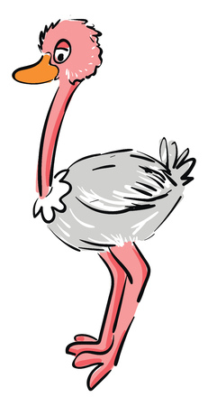Cartoon pink and white ostrich vector illustration on white backgroundのイラスト素材