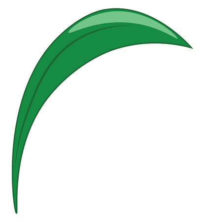 An image of a green leaf vector color drawing or illustrationのイラスト素材