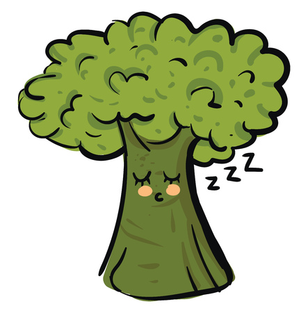 Cartoon of a sleeping broccoli vector illustration on white backgroundのイラスト素材