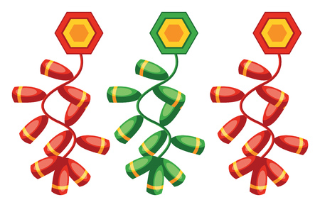 Chinese decoration for New Year vector illustrationのイラスト素材