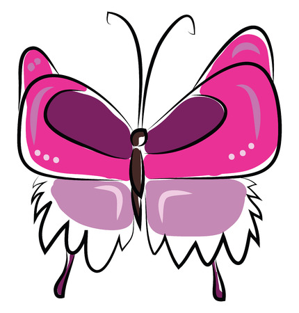 A pink butterfly vector or color illustrationのイラスト素材