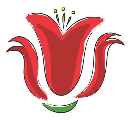 Simple vector illustration on white background of a red flower with yellow pestleのイラスト素材