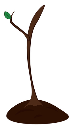 A sprouting tree vector or color illustrationのイラスト素材