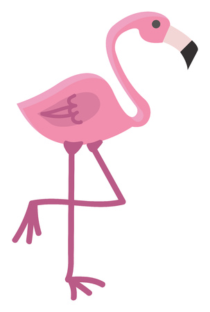 Flamingo bird standing vector or color illustrationのイラスト素材