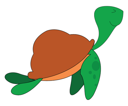 A cute turtle with its shield vector or color illustrationのイラスト素材