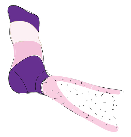 Leg with a sock onillustration vector on white backgroundのイラスト素材