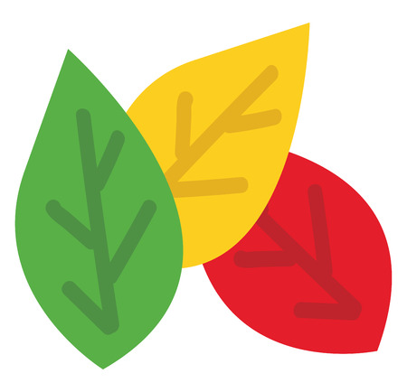 Different colour leafesillustration vector on white backgroundのイラスト素材
