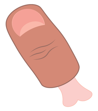 Thumb finger with joint bone vector or color illustrationのイラスト素材