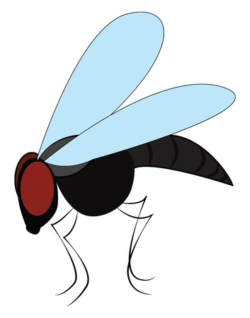 A black fly with blue wings red eyes and four legs sitting on food vector color drawing or illustrationのイラスト素材
