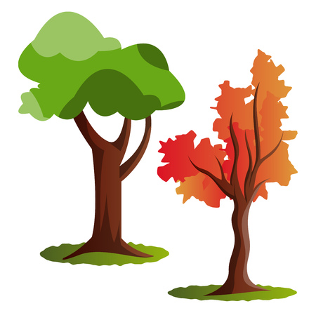Two autumn tree vector illustration on white backgroundのイラスト素材
