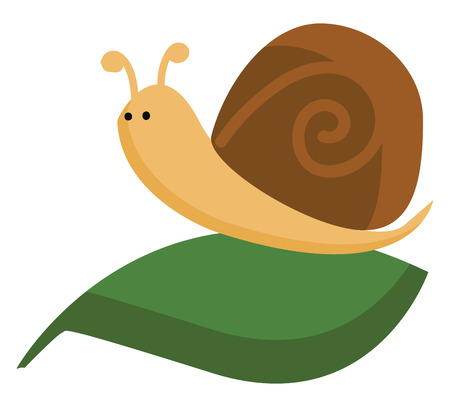 A cute little cartoon snail with two eyes and horns and a single dark brown spiral shell crawling on a dark green leaf vector color drawing or illustrationのイラスト素材