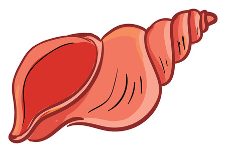 An orange-colored screw shaped cartoon seashell is a hard and protective outer layer created by an animal that lives in the sea vector color drawing or illustrationのイラスト素材