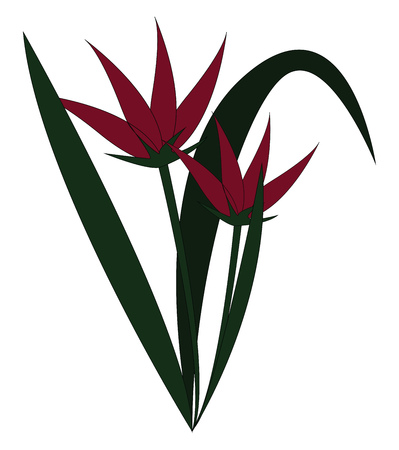 Two pretty pink flowers along with stem and grasses that looks so wonderful vector color drawing or illustrationのイラスト素材