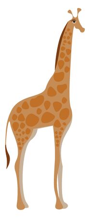 Drawing of a giraffe vector illustration のイラスト素材