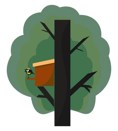 A manmade nest box in a big tree and a cute bird standing outside the box vector color drawing or illustrationのイラスト素材