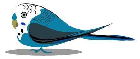 A small budgerigar bird with blue feathers vector color drawing or illustration