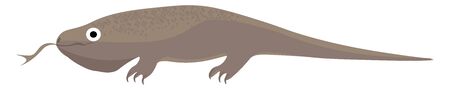 A big monitor lizard with a long tongue and a tail vector color drawing or illustrationのイラスト素材
