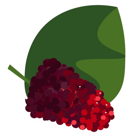 Clipart of a bunch of red-colored mulberry fruits on a broad green leaf  vector  color drawing or illustrationのイラスト素材