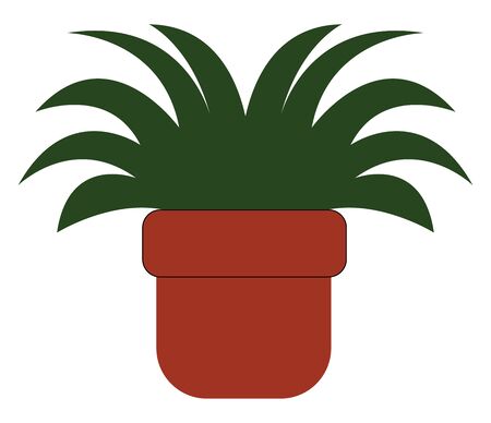 A small plant potted in a brown pot enhances the existing dÃ©cor of any room in the home  vector  color drawing or illustrationのイラスト素材