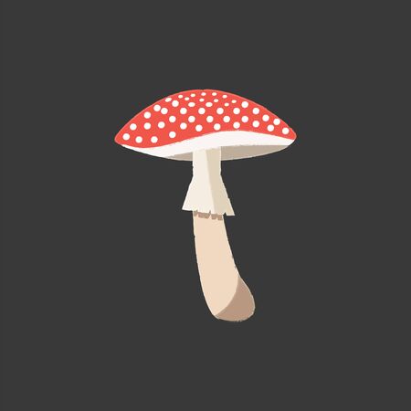 An edible mushroom with spherical white spots on the distinctive red cap  brown stem  white-colored gills  and partial veil  over black background  vector  color drawing or illustrationのイラスト素材