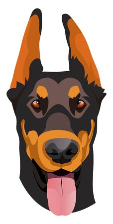 Doberman illustration vector on white backgroundのイラスト素材