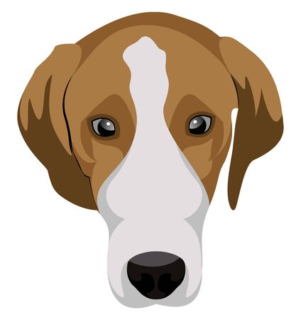 Beagle illustration vector on white backgroundのイラスト素材