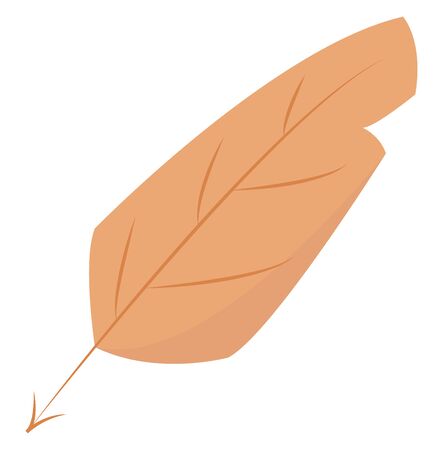 A big yellow feather which is very soft and cute , vector, color drawing or illustration.のイラスト素材