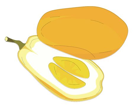 Citron which is sliced into two halves with its seed in the middle , vector, color drawing or illustration.のイラスト素材