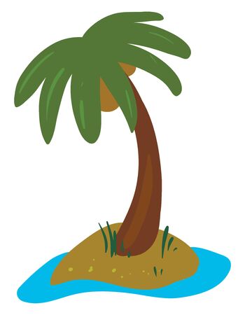 A palm tree has a crown of very long feathered or fan-shaped leaves bearing few coconuts grown along with some shrubs above the land surrounding water, vector, color drawing or illustration.のイラスト素材