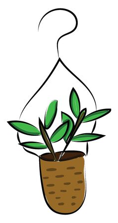 A smart hanging brown pot with plants undoubtedly enhance the existing decor of any room in the home set isolated on white background viewed from the front, vector, color drawing or illustration.のイラスト素材
