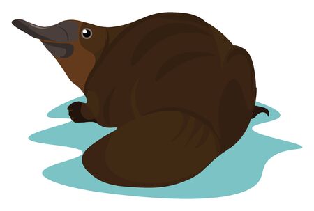 A brown platypus with an elongated bill, short tail, webbed feet, and dense fur, keenly looks to the left while lying on the water over white background , vector, color drawing or illustration.のイラスト素材