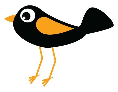 A black bird with yellow wing, beak and legs, with big eyes, with a big tail, vector, color drawing or illustration.のイラスト素材