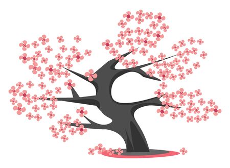 A black cherry blossom tree with many flowers, vector, color drawing or illustration.のイラスト素材